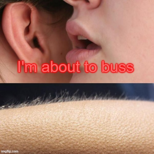 Buss | I'm about to buss | image tagged in whisper and goosebumps | made w/ Imgflip meme maker