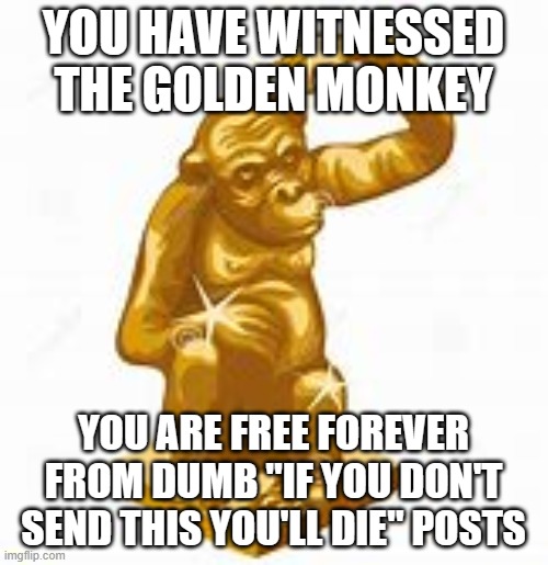 YOU HAVE WITNESSED THE GOLDEN MONKEY YOU ARE FREE FOREVER FROM DUMB "IF YOU DON'T SEND THIS YOU'LL DIE" POSTS | made w/ Imgflip meme maker