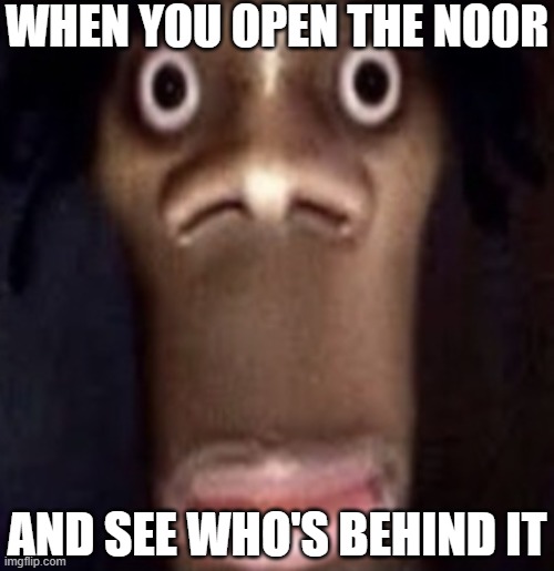 Quandale dingle | WHEN YOU OPEN THE NOOR; AND SEE WHO'S BEHIND IT | image tagged in quandale dingle,only in ohio,goofy ahh | made w/ Imgflip meme maker