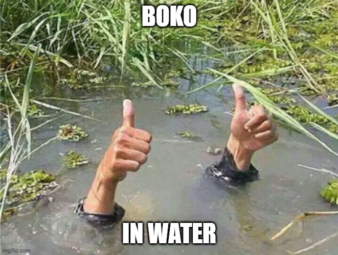 Drowning Thumbs Up | BOKO; IN WATER | image tagged in drowning thumbs up | made w/ Imgflip meme maker