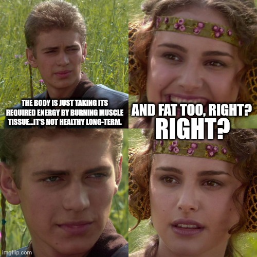 Anakin Padme 4 Panel | THE BODY IS JUST TAKING ITS REQUIRED ENERGY BY BURNING MUSCLE TISSUE...IT'S NOT HEALTHY LONG-TERM. AND FAT TOO, RIGHT? RIGHT? | image tagged in anakin padme 4 panel | made w/ Imgflip meme maker