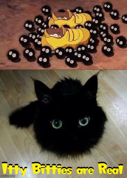 Rise of the Itty Bitties | image tagged in vince vance,memes,black cats,kittens,comics/cartoons,cats | made w/ Imgflip meme maker