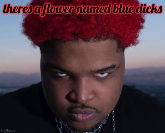 bro thinks he is him | theres a flower named blue dicks | image tagged in bro thinks he is him | made w/ Imgflip meme maker