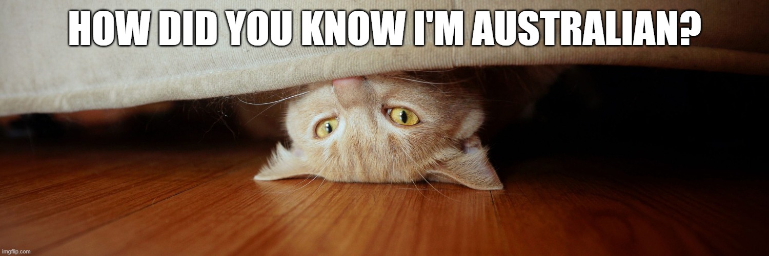 hiding cat | HOW DID YOU KNOW I'M AUSTRALIAN? | image tagged in upside down | made w/ Imgflip meme maker