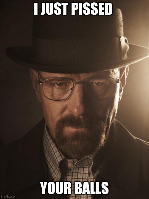 Walter White | I JUST PISSED; YOUR BALLS | image tagged in walter white | made w/ Imgflip meme maker