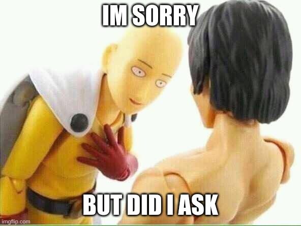 Did I ask you  | IM SORRY BUT DID I ASK | image tagged in did i ask you | made w/ Imgflip meme maker