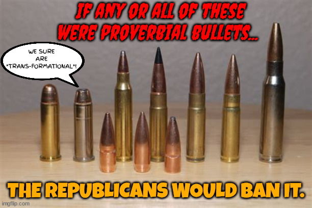 Don't say bullets! | If any or all of these were proverbial bullets... WE SURE ARE "TRANS-FORMATIONAL"! THE REPUBLICANS WOULD BAN IT. | image tagged in pronouns,don't say gay,bullets,guns,fascists | made w/ Imgflip meme maker