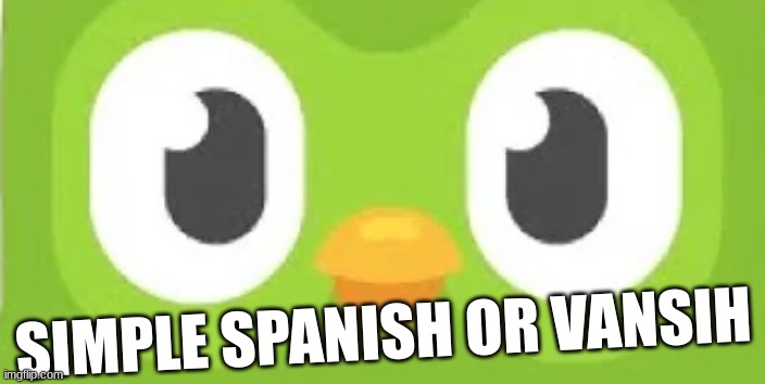 Choose wisely | SIMPLE SPANISH OR VANSIH | image tagged in duolingo | made w/ Imgflip meme maker