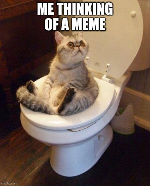 Me thinking of a meme | ME THINKING OF A MEME | image tagged in cat sitting on toilet | made w/ Imgflip meme maker