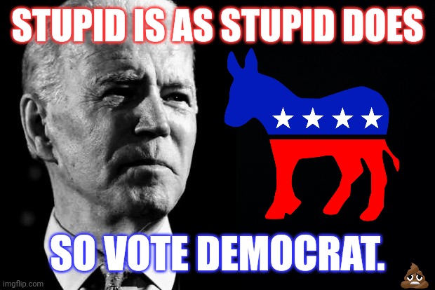 TITLE 42 Ends in America's Invasion. Dem'rats Sanctuary? Free Government Cheese cuz Every Vote Counts. Migrant Voters Matter. | STUPID IS AS STUPID DOES; SO VOTE DEMOCRAT. | image tagged in confused sage joe biden,democrats,sanctuary cities,special kind of stupid,illegal immigrants,the great awakening | made w/ Imgflip meme maker