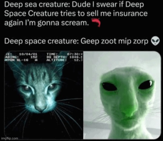 Geep zoot mip zorp | made w/ Imgflip meme maker