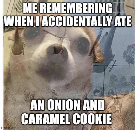 Onion + Caramel = PTSD | ME REMEMBERING WHEN I ACCIDENTALLY ATE; AN ONION AND CARAMEL COOKIE | image tagged in ptsd chihuahua | made w/ Imgflip meme maker