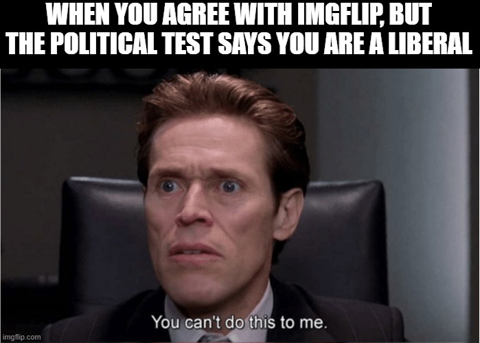 I am confused | WHEN YOU AGREE WITH IMGFLIP, BUT THE POLITICAL TEST SAYS YOU ARE A LIBERAL | image tagged in you can't do this to me,memes | made w/ Imgflip meme maker
