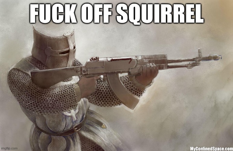 crusader rifle | FUCK OFF SQUIRREL | image tagged in crusader rifle | made w/ Imgflip meme maker