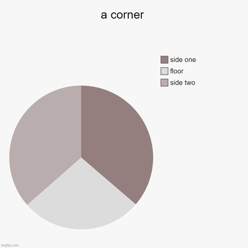 corner of a wall | a corner | side two, floor, side one | image tagged in charts,pie charts | made w/ Imgflip chart maker