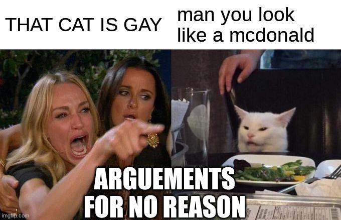 Woman Yelling At Cat Meme | THAT CAT IS GAY; man you look like a mcdonald; ARGUEMENTS FOR NO REASON | image tagged in memes,woman yelling at cat | made w/ Imgflip meme maker