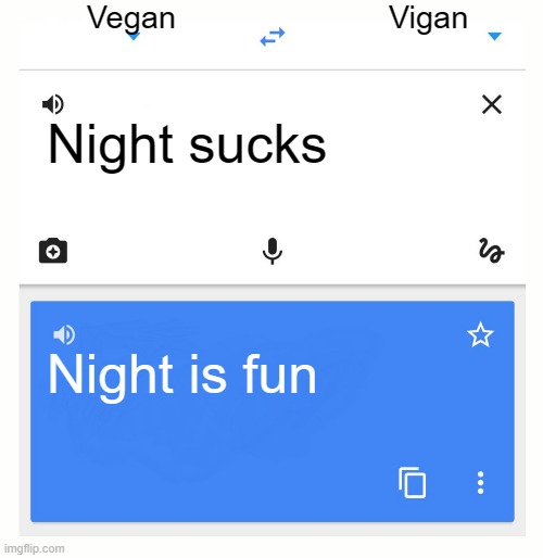 Google Translate | Vegan; Vigan; Night sucks; Night is fun | image tagged in google translate | made w/ Imgflip meme maker