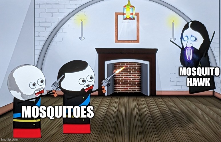 mosquito hawk | MOSQUITO HAWK; MOSQUITOES | image tagged in when you piss off a russian wizard | made w/ Imgflip meme maker