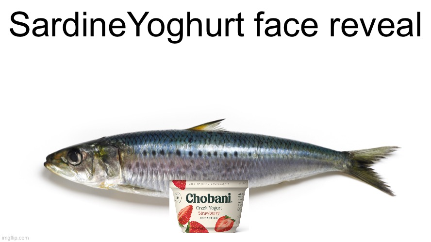Meme #1,112 | SardineYoghurt face reveal | image tagged in yogurt,face reveal,food,funny,fish,memes | made w/ Imgflip meme maker