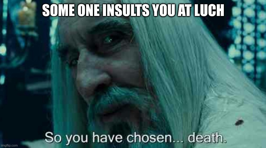 So you have chosen death | SOME ONE INSULTS YOU AT LUCH | image tagged in so you have chosen death | made w/ Imgflip meme maker
