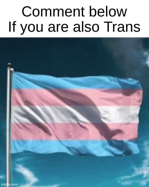 I cannot think of titles | Comment below If you are also Trans | image tagged in trans flag,trans,lgbtq | made w/ Imgflip meme maker