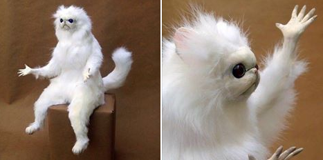 High Quality Persian cat Blank Meme Template