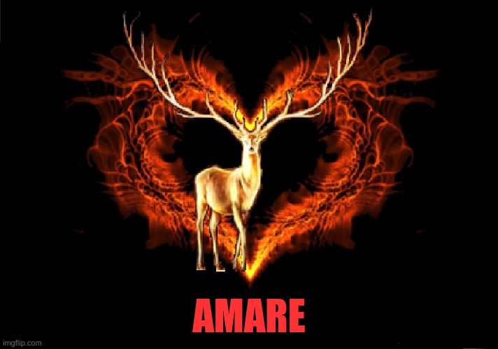 AMARE | made w/ Imgflip meme maker