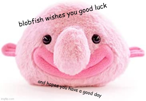 blobfish | blobfish wishes you good luck; and hopes you have a good day | image tagged in blobfish,fun,funny | made w/ Imgflip meme maker