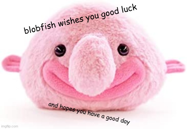 I Am A Blobfish Person Funny GIF - I Am A Blobfish Person Funny