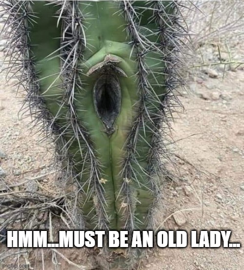 Ouch | HMM...MUST BE AN OLD LADY... | image tagged in sex jokes | made w/ Imgflip meme maker