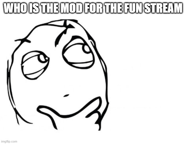 hmmm | WHO IS THE MOD FOR THE FUN STREAM | image tagged in hmmm | made w/ Imgflip meme maker