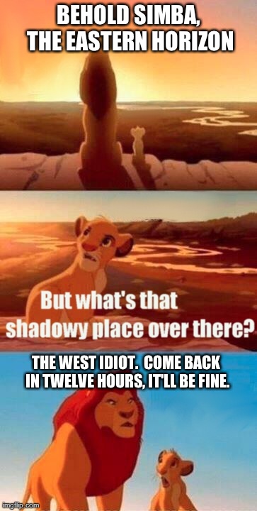 Simba ... Captain Obvious | BEHOLD SIMBA, THE EASTERN HORIZON THE WEST IDIOT.  COME BACK IN TWELVE HOURS, IT'LL BE FINE. | image tagged in memes,simba shadowy place | made w/ Imgflip meme maker