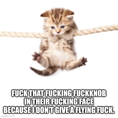 Hang in there kitty  | FUCK THAT FUCKING FUCKKNOB IN THEIR FUCKING FACE BECAUSE I DON'T GIVE A FLYING FUCK. | image tagged in hang in there kitty | made w/ Imgflip meme maker