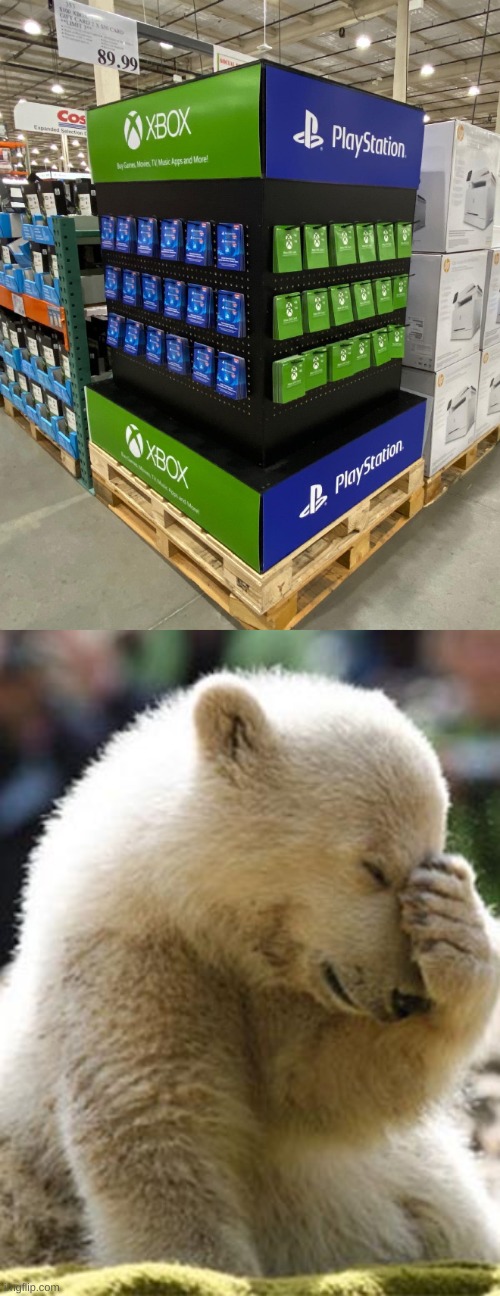 It's not that hard... | image tagged in memes,facepalm bear,you had one job | made w/ Imgflip meme maker