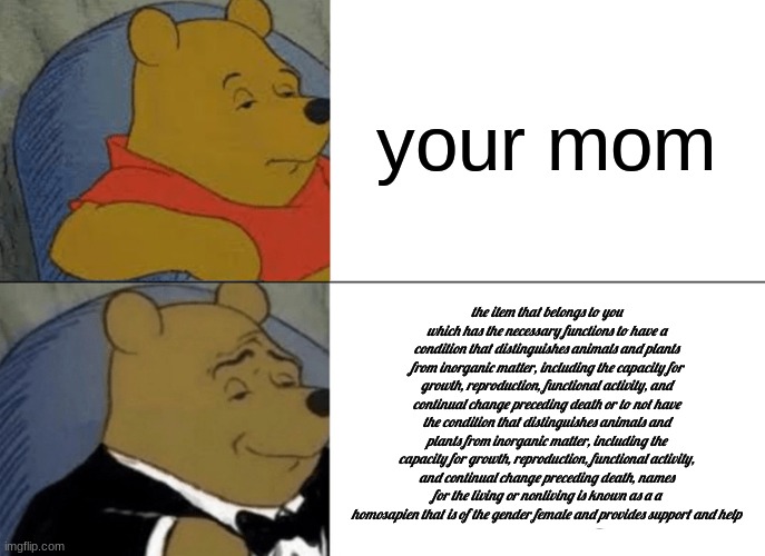 verbose mom joke | your mom; the item that belongs to you which has the necessary functions to have a condition that distinguishes animals and plants from inorganic matter, including the capacity for growth, reproduction, functional activity, and continual change preceding death or to not have the condition that distinguishes animals and plants from inorganic matter, including the capacity for growth, reproduction, functional activity, and continual change preceding death, names for the living or nonliving is known as a a homosapien that is of the gender female and provides support and help | image tagged in memes,tuxedo winnie the pooh | made w/ Imgflip meme maker