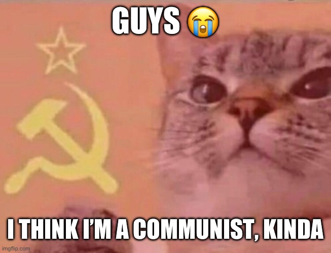 Communist cat | GUYS 😭; I THINK I’M A COMMUNIST, KINDA | image tagged in communist cat | made w/ Imgflip meme maker