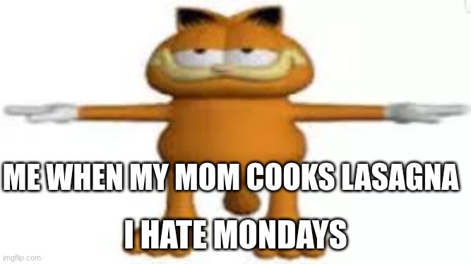 i dont know | ME WHEN MY MOM COOKS LASAGNA; I HATE MONDAYS | image tagged in i hate mondays | made w/ Imgflip meme maker