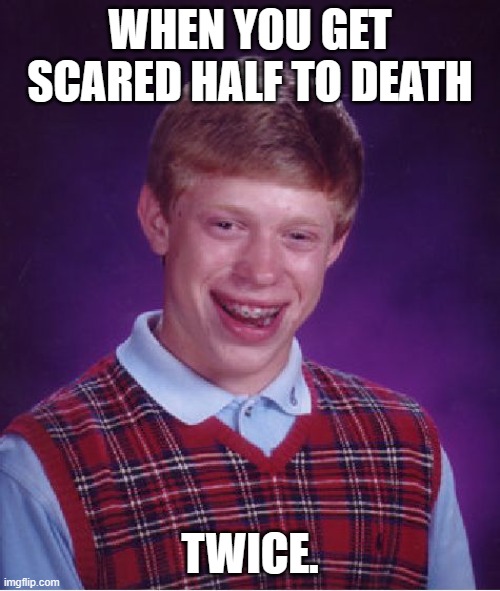 When You Get Scared... | WHEN YOU GET SCARED HALF TO DEATH; TWICE. | image tagged in memes,bad luck brian | made w/ Imgflip meme maker