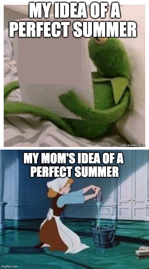 MY IDEA OF A PERFECT SUMMER; MY MOM'S IDEA OF A 
PERFECT SUMMER | image tagged in kermit reading book,cinderella cleaning | made w/ Imgflip meme maker