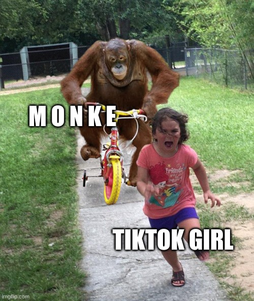 Orangutan chasing girl on a tricycle | M O N K E TIKTOK GIRL | image tagged in orangutan chasing girl on a tricycle | made w/ Imgflip meme maker