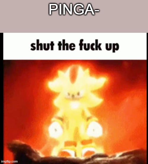 super shadow stfu | PINGA- | image tagged in super shadow stfu | made w/ Imgflip meme maker