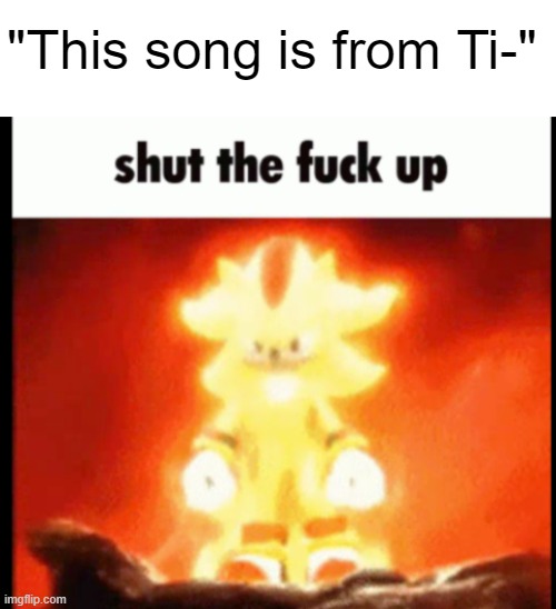 The song is it's own song.  Not from a stupid social media site. | "This song is from Ti-" | image tagged in blank white template,super shadow stfu | made w/ Imgflip meme maker