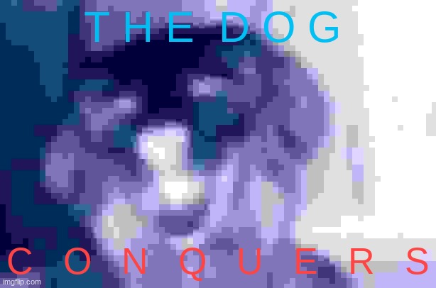 Happy Dog | T H E  D O G; C   O   N   Q   U   E   R   S | image tagged in happy dog | made w/ Imgflip meme maker