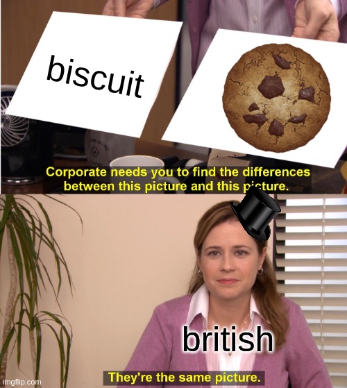 , | biscuit; british | image tagged in memes,they're the same picture | made w/ Imgflip meme maker