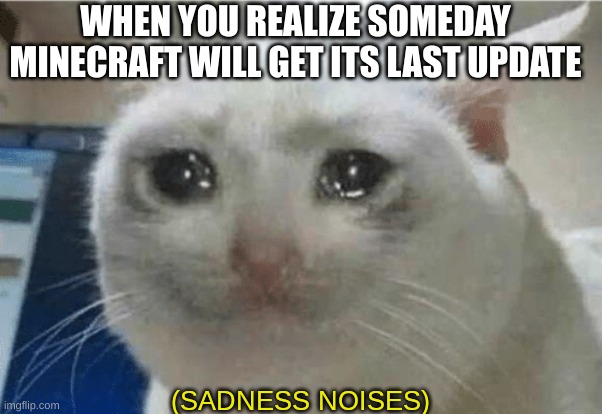 sadly, this will someday be true | WHEN YOU REALIZE SOMEDAY MINECRAFT WILL GET ITS LAST UPDATE | image tagged in sadness noises | made w/ Imgflip meme maker