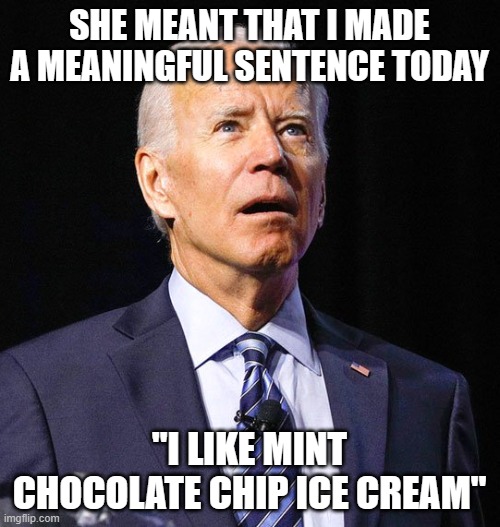 Joe Biden | SHE MEANT THAT I MADE A MEANINGFUL SENTENCE TODAY "I LIKE MINT CHOCOLATE CHIP ICE CREAM" | image tagged in joe biden | made w/ Imgflip meme maker