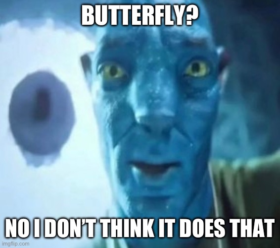 Either eat it or yeet it | BUTTERFLY? NO I DON’T THINK IT DOES THAT | image tagged in avatar guy | made w/ Imgflip meme maker
