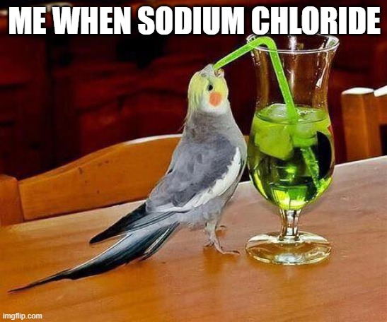 its on itc secret menu | ME WHEN SODIUM CHLORIDE | image tagged in big sip | made w/ Imgflip meme maker