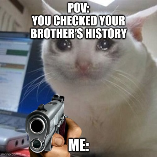 POV: 
YOU CHECKED YOUR BROTHER'S HISTORY; ME: | made w/ Imgflip meme maker