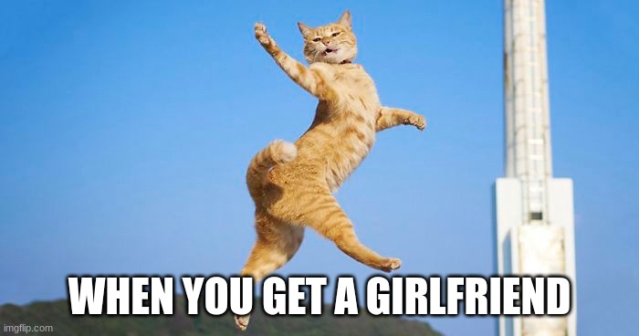 HAPPY | WHEN YOU GET A GIRLFRIEND | image tagged in girlfriend,cat,happy | made w/ Imgflip meme maker